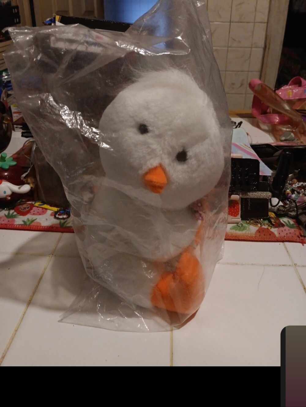 1991 Luv bunch brand duck with flowers plush NIP
